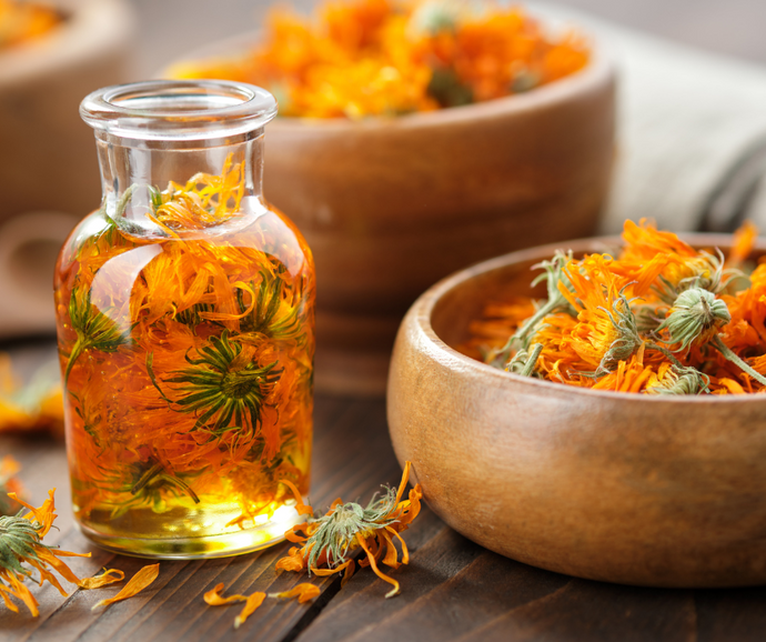 How To Make Calendula Infused Oil