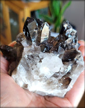 Load image into Gallery viewer, Smoky Quartz Cluster (Large)

