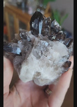 Load and play video in Gallery viewer, Smoky Quartz Cluster (Large)

